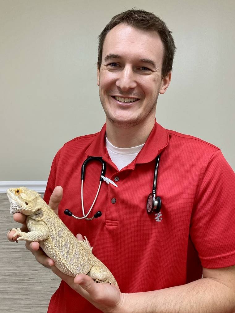 Dr. Pippin holding a bearded dragon at College Boulevard Animal Hospital