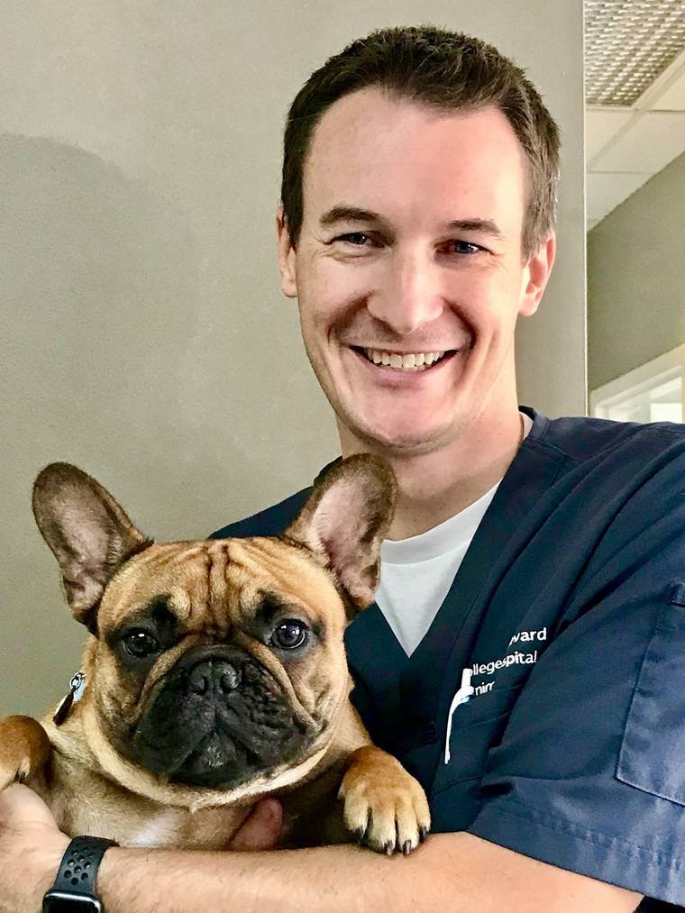 Dr. Pippin holding a French Bulldog at College Boulevard Animal Hospital